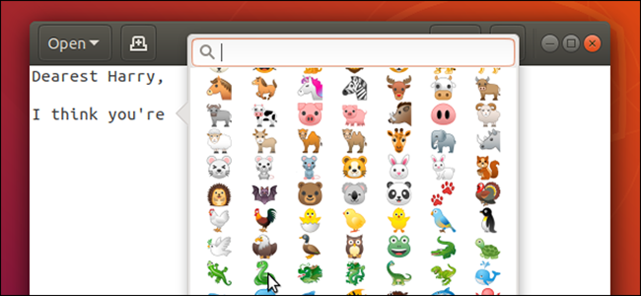 Verwendung von Emoji in Ubuntu 18.04