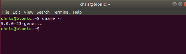 Befehl uname zeigt den Linux-Kernel 5.0 unter Ubuntu an "Bionischer Biber"