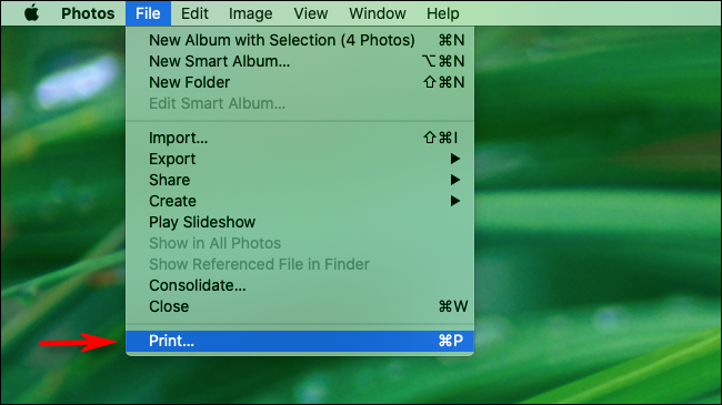 Wählen Sie Datei und Drucken in der Menüleiste in Fotos auf dem Mac