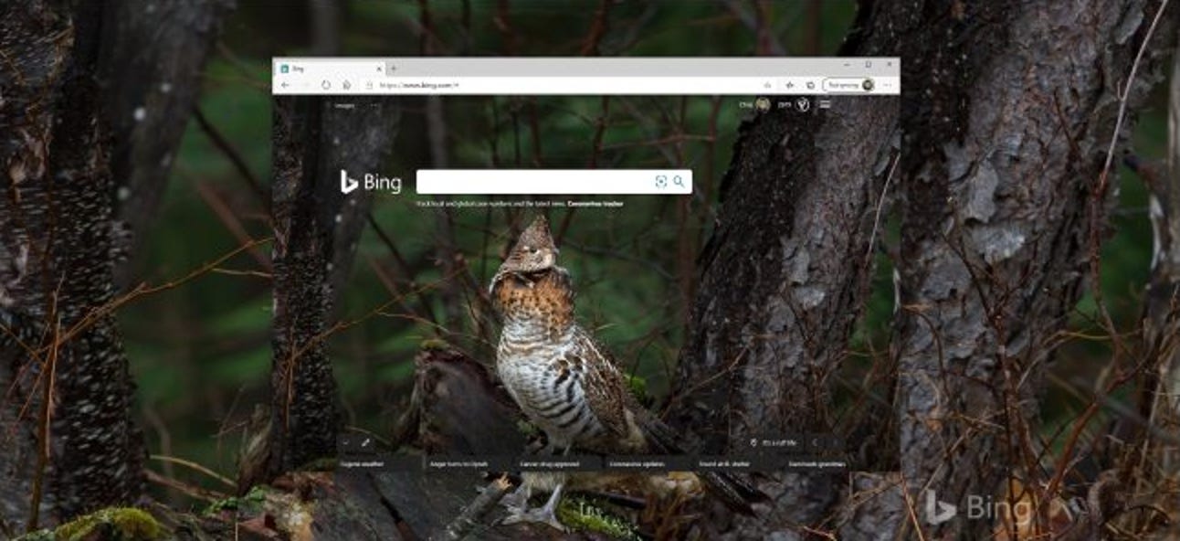 So erhalten Sie die täglichen Fotos von Bing als Hintergrundbild unter Windows 10