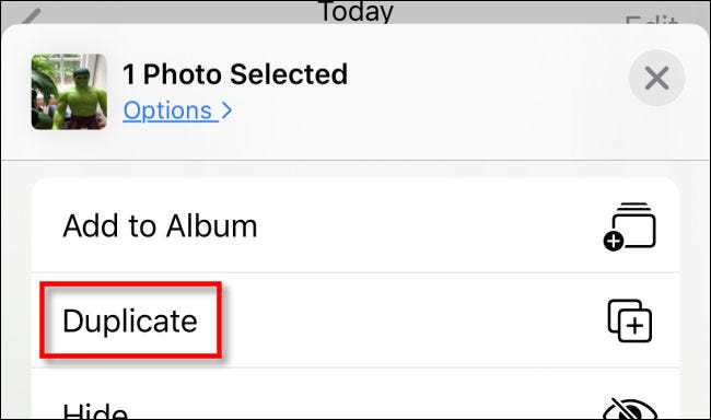 Tippen Sie im Teilen-Menü in Fotos auf dem iPhone auf Duplizieren.