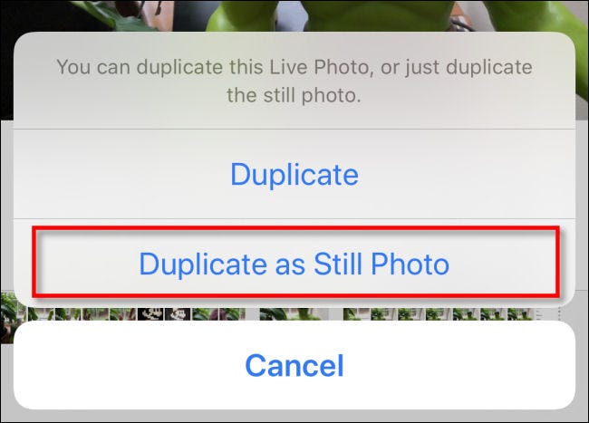 Zapfhahn "Als Standfoto duplizieren" in Fotos auf dem iPhone.