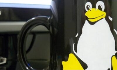10 der beliebtesten Linux-Distributionen im Vergleich