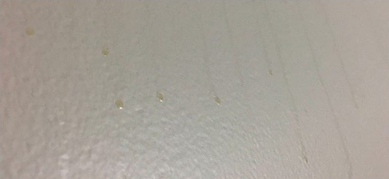 Was sind diese groben braunen Flecken an meinen Badezimmerwänden?